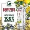 Gin Beefeater Botanics Lemon & Ginger 750ml
