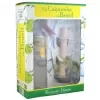Kit Caipirinha Cachaça Harmonie Schnaps 700 ML