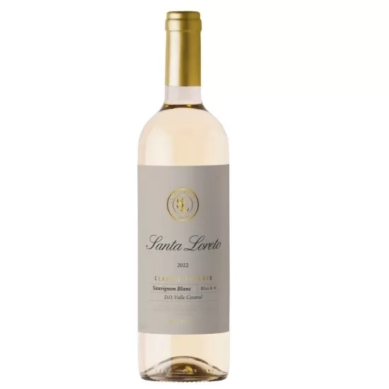 Vinho Santa Loreto Sauvignon Blanc 750ML