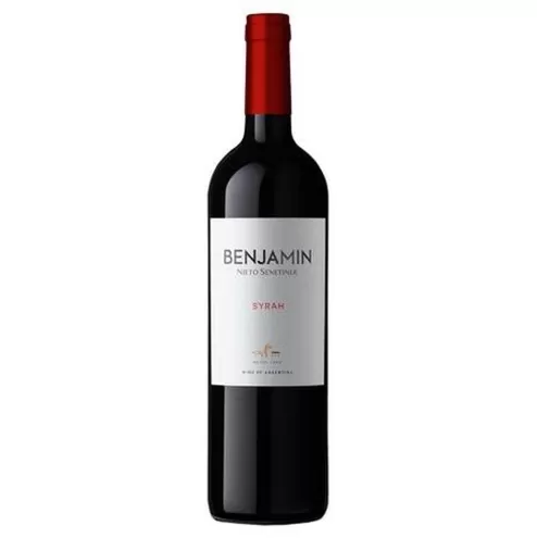 Vinho Benjamin Nieto Syrah 750ml